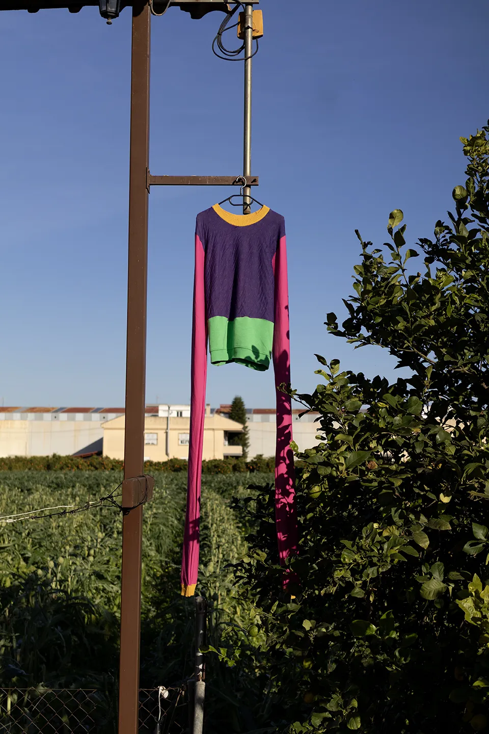 bufalabala-img-product-00030_resultado