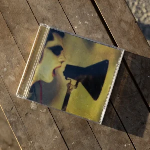 aarönsáez “Cantautores de mierda”